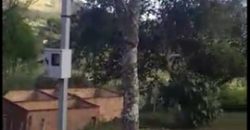 MARAVILHOSO SÍTIO COM 8,17 HECTARES, NO BAIRRO BIGUÁ, MUNICÍPIO DE DELFIM MOREIRA/MG