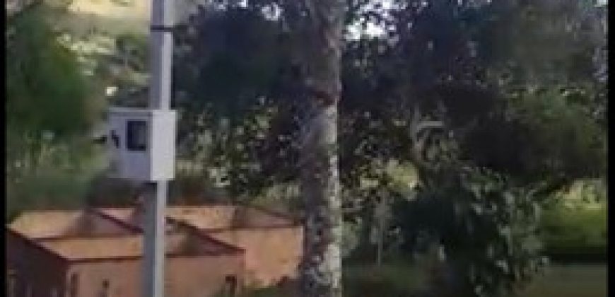 MARAVILHOSO SÍTIO COM 8,17 HECTARES, NO BAIRRO BIGUÁ, MUNICÍPIO DE DELFIM MOREIRA/MG