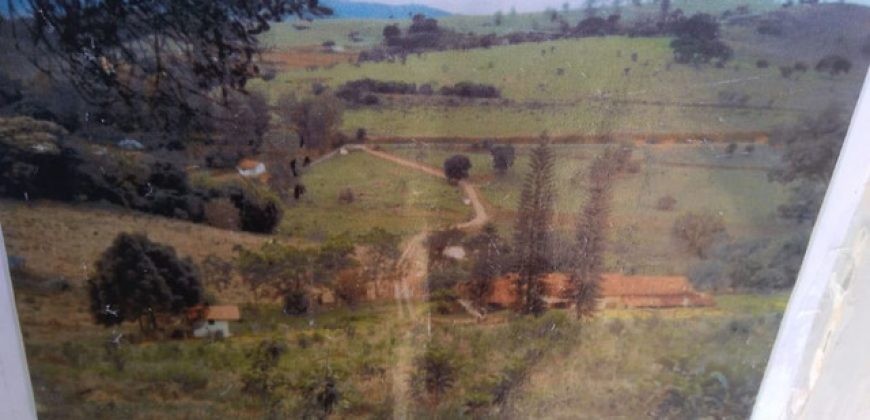 EXCELENTE SÍTIO DE 3 ALQUEIRES EM PIRANGUINHO-MG   