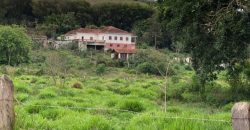 SÍTIO MAGNÂNIMO DE 4 HECTARES, COM CASARÃO BARROCO, MUNICÍPIO DE PIRANGUINHO/MG