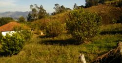 BELÍSSIMA CHÁCARA DE 10.000m², NO BAIRRO PERUS, DELFIM MOREIRA/MG