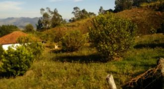 BELÍSSIMA CHÁCARA DE 10.000m², NO BAIRRO PERUS, DELFIM MOREIRA/MG