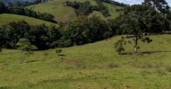 MARAVILHOSO SÍTIO EM DELFIM MOREIRA-MG, COM 7 HECTARES