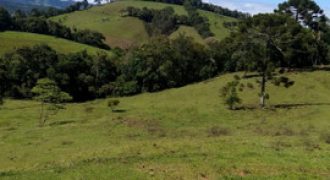 MARAVILHOSO SÍTIO EM DELFIM MOREIRA-MG, COM 7 HECTARES