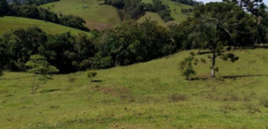 MARAVILHOSO SÍTIO EM DELFIM MOREIRA-MG, COM 7 HECTARES