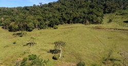 MARAVILHOSO SÍTIO EM DELFIM MOREIRA-MG, COM 7 HECTARES