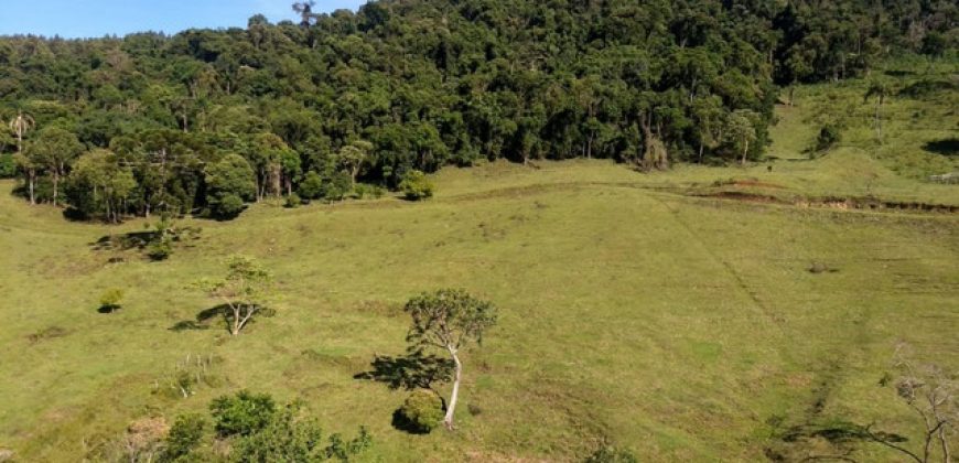 MARAVILHOSO SÍTIO EM DELFIM MOREIRA-MG, COM 7 HECTARES