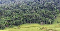 MARAVILHOSO SÍTIO EM DELFIM MOREIRA-MG, COM 7 HECTARES