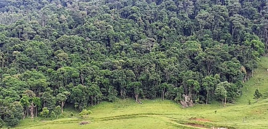 MARAVILHOSO SÍTIO EM DELFIM MOREIRA-MG, COM 7 HECTARES