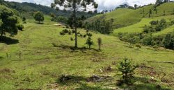 MARAVILHOSO SÍTIO EM DELFIM MOREIRA-MG, COM 7 HECTARES