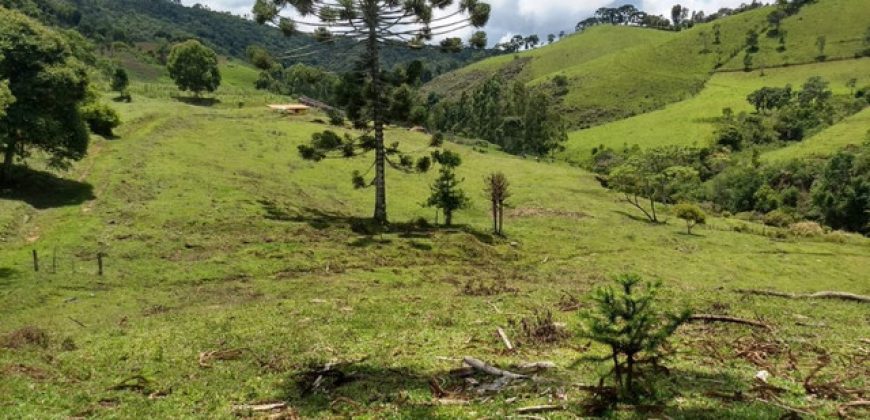 MARAVILHOSO SÍTIO EM DELFIM MOREIRA-MG, COM 7 HECTARES