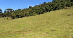 MARAVILHOSO SÍTIO EM DELFIM MOREIRA-MG, COM 7 HECTARES