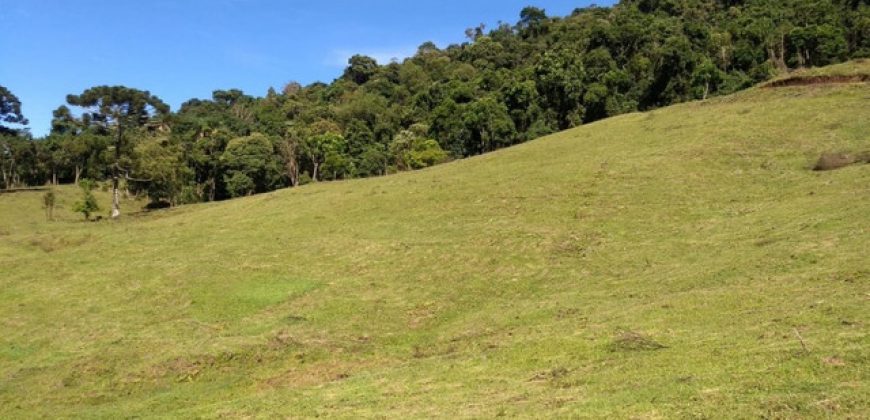 MARAVILHOSO SÍTIO EM DELFIM MOREIRA-MG, COM 7 HECTARES