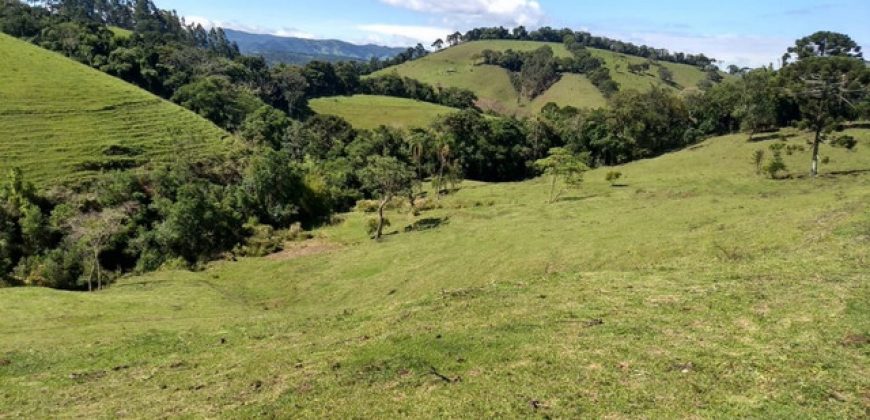 MARAVILHOSO SÍTIO EM DELFIM MOREIRA-MG, COM 7 HECTARES