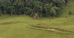 MARAVILHOSO SÍTIO EM DELFIM MOREIRA-MG, COM 7 HECTARES