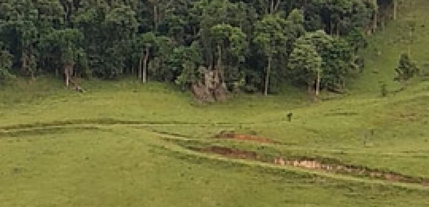 MARAVILHOSO SÍTIO EM DELFIM MOREIRA-MG, COM 7 HECTARES