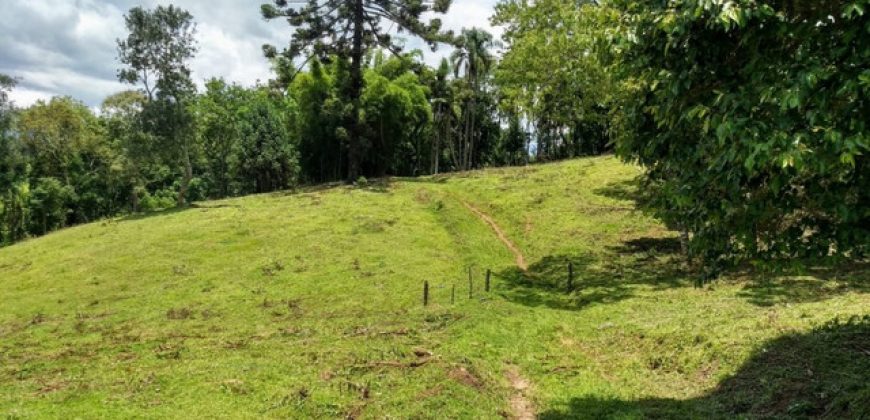 MARAVILHOSO SÍTIO EM DELFIM MOREIRA-MG, COM 7 HECTARES