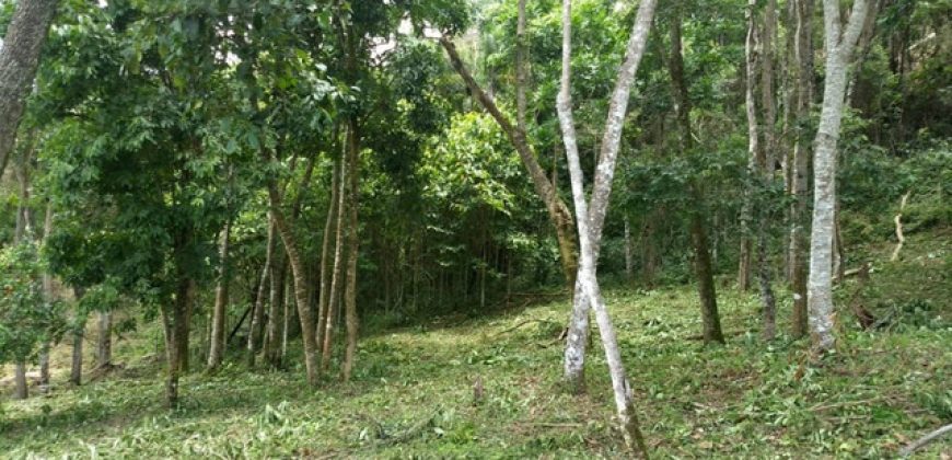 MARAVILHOSO SÍTIO EM DELFIM MOREIRA-MG, COM 7 HECTARES