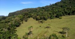 MARAVILHOSO SÍTIO EM DELFIM MOREIRA-MG, COM 7 HECTARES