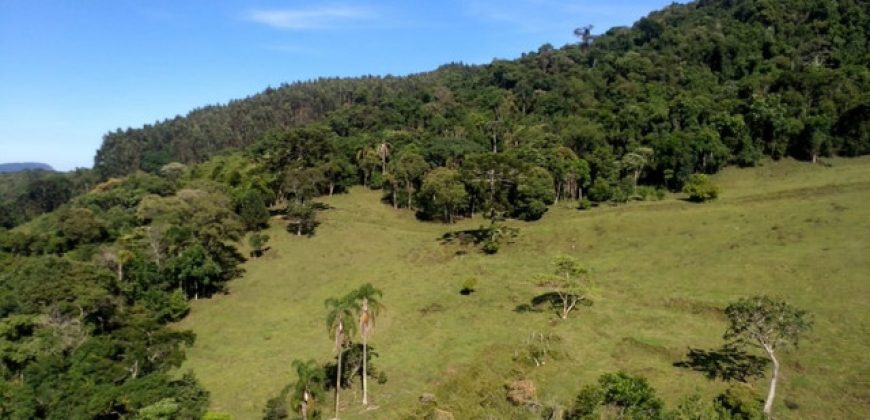 MARAVILHOSO SÍTIO EM DELFIM MOREIRA-MG, COM 7 HECTARES