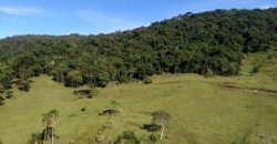 MARAVILHOSO SÍTIO EM DELFIM MOREIRA-MG, COM 7 HECTARES