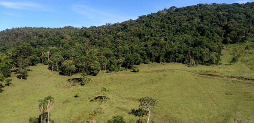 MARAVILHOSO SÍTIO EM DELFIM MOREIRA-MG, COM 7 HECTARES