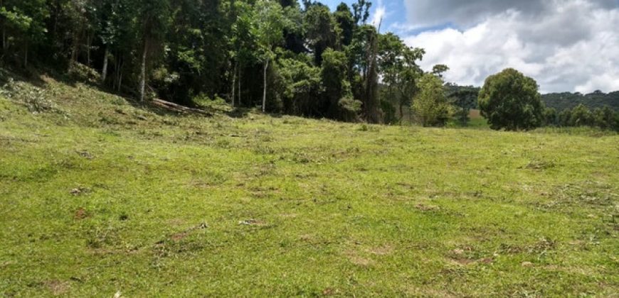 MARAVILHOSO SÍTIO EM DELFIM MOREIRA-MG, COM 7 HECTARES