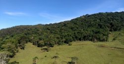 MARAVILHOSO SÍTIO EM DELFIM MOREIRA-MG, COM 7 HECTARES