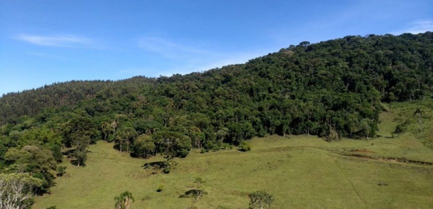 MARAVILHOSO SÍTIO EM DELFIM MOREIRA-MG, COM 7 HECTARES