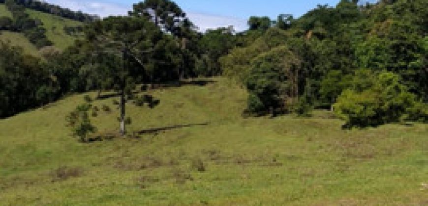 MARAVILHOSO SÍTIO EM DELFIM MOREIRA-MG, COM 7 HECTARES