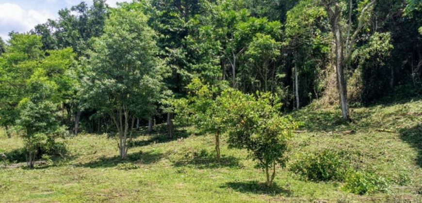 MARAVILHOSO SÍTIO EM DELFIM MOREIRA-MG, COM 7 HECTARES