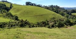 MARAVILHOSO SÍTIO EM DELFIM MOREIRA-MG, COM 7 HECTARES