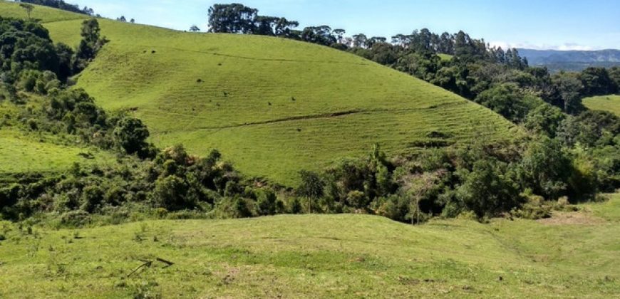 MARAVILHOSO SÍTIO EM DELFIM MOREIRA-MG, COM 7 HECTARES