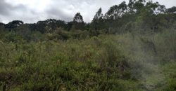 BELÍSSIMA FAZENDA COM 17 ALQUEIRES NO BAIRRO CATA DOS MARINS, MARMELÓPOLIS/MG