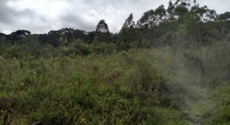 BELÍSSIMA FAZENDA COM 17 ALQUEIRES NO BAIRRO CATA DOS MARINS, MARMELÓPOLIS/MG