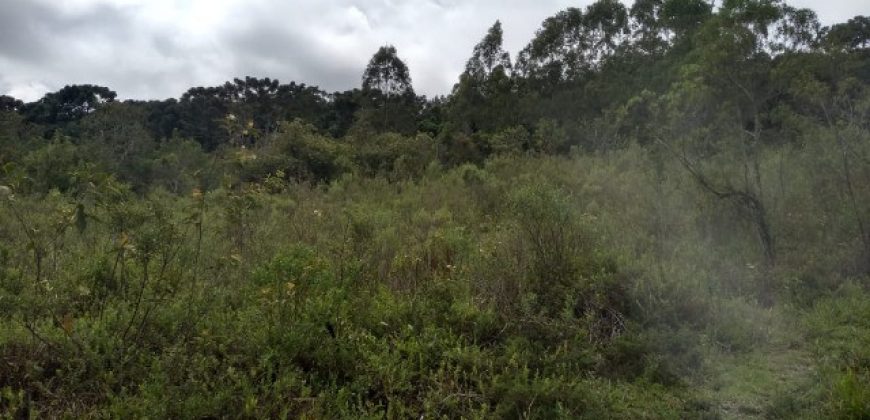 BELÍSSIMA FAZENDA COM 17 ALQUEIRES NO BAIRRO CATA DOS MARINS, MARMELÓPOLIS/MG