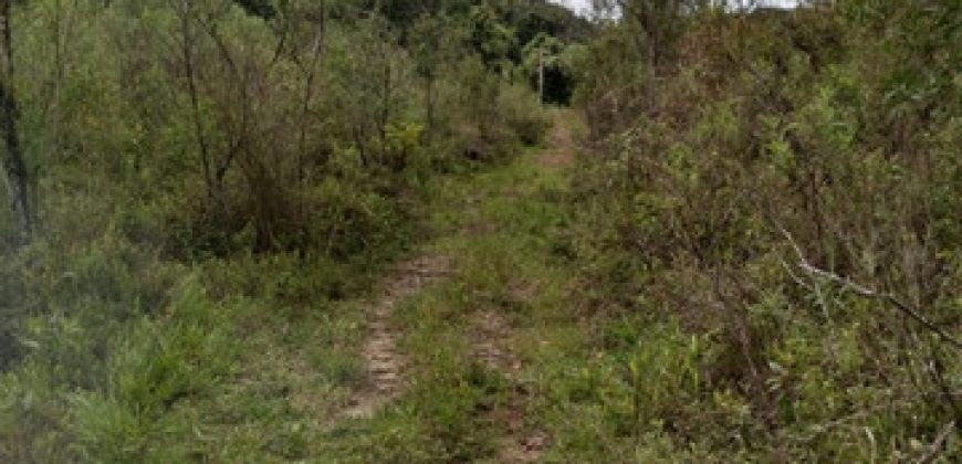 BELÍSSIMA FAZENDA COM 17 ALQUEIRES NO BAIRRO CATA DOS MARINS, MARMELÓPOLIS/MG