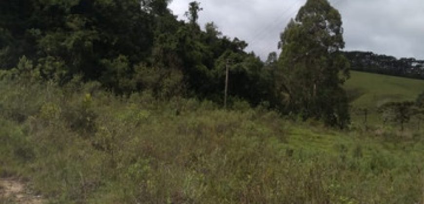 BELÍSSIMA FAZENDA COM 17 ALQUEIRES NO BAIRRO CATA DOS MARINS, MARMELÓPOLIS/MG