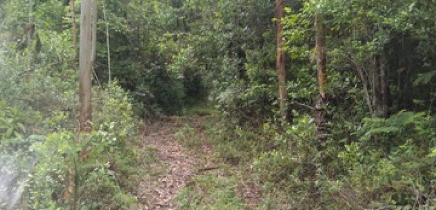 BELÍSSIMA FAZENDA COM 17 ALQUEIRES NO BAIRRO CATA DOS MARINS, MARMELÓPOLIS/MG