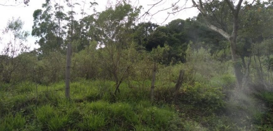 BELÍSSIMA FAZENDA COM 17 ALQUEIRES NO BAIRRO CATA DOS MARINS, MARMELÓPOLIS/MG