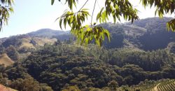 BELÍSSIMO SITIO, COM 8,47 HECTARES, VIRGÍNIA/MG, ÀS MARGENS DO RIO LOURENÇO VELHO