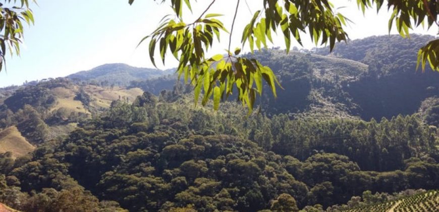 BELÍSSIMO SITIO, COM 8,47 HECTARES, VIRGÍNIA/MG, ÀS MARGENS DO RIO LOURENÇO VELHO