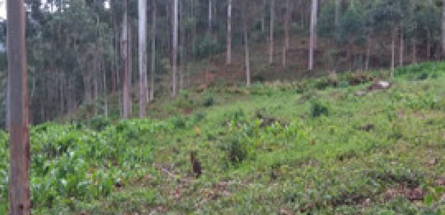 BELÍSSIMO SITIO, COM 8,47 HECTARES, VIRGÍNIA/MG, ÀS MARGENS DO RIO LOURENÇO VELHO