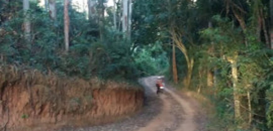 BELÍSSIMO SITIO, COM 8,47 HECTARES, VIRGÍNIA/MG, ÀS MARGENS DO RIO LOURENÇO VELHO