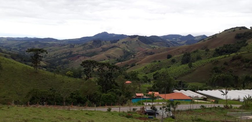 LINDA CHÁCARA DE 2000m², NO MUNICÍPIO DE MARIA DA FÉ/MG