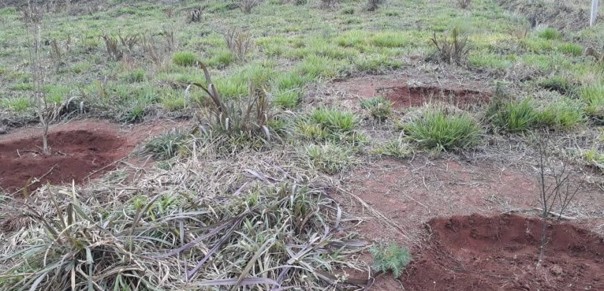 LINDA CHÁCARA DE 2000m², NO MUNICÍPIO DE MARIA DA FÉ/MG