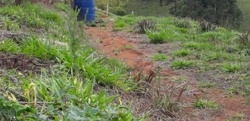 LINDA CHÁCARA DE 2000m², NO MUNICÍPIO DE MARIA DA FÉ/MG