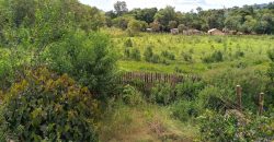 VENDO CASA NO BAIRRO JURU EM ITAJUBÁ-MG   