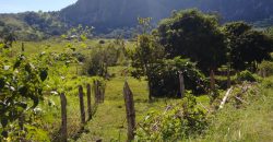 BELÍSSIMA CHÁCARA COM SOBRADO EM PEDRALVA-MG.   