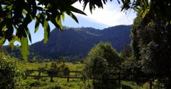 BELÍSSIMA CHÁCARA COM SOBRADO EM PEDRALVA-MG.   